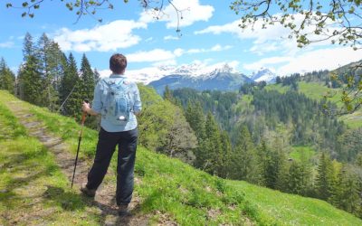 Day 4 – From Meiringen To Hochmoor