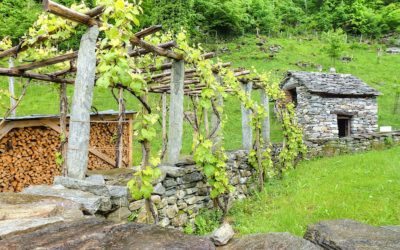 Day 7 – The Swiss Open Air Museum At Ballenberg