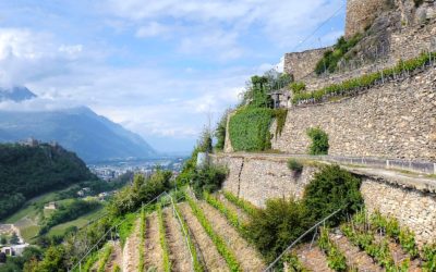 Day 9 – The Vineyards Of Valais