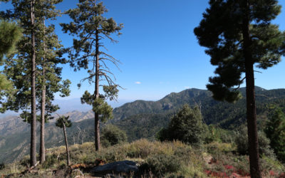 Day 2 – The Mt. Lemmon Scenic Byway