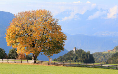 Day 5 – Oberbozen & The Ritten Plateau