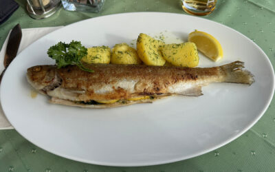 Day 26 – Trout At Triendlsäge